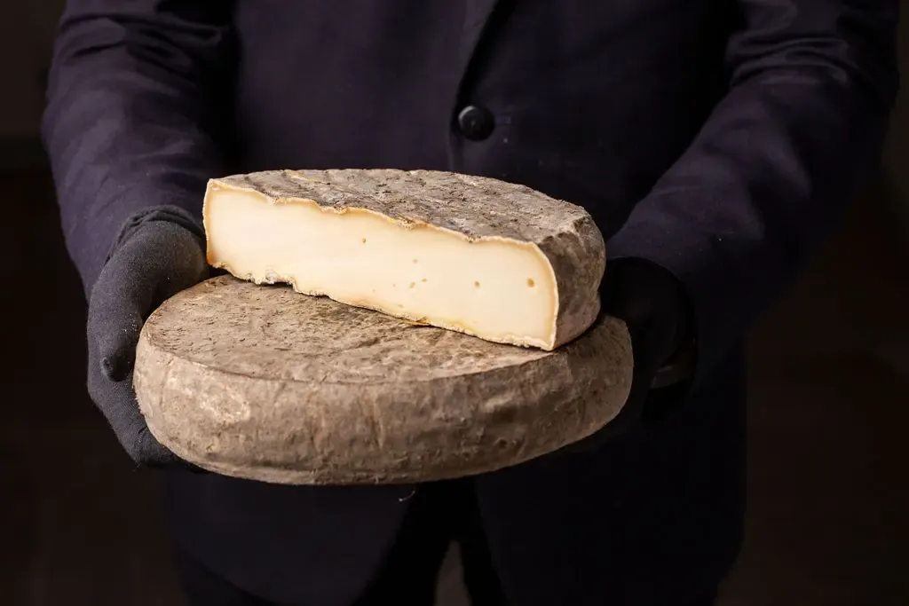 Une personne tient deux fromages ronds à pâte molle avec une croûte noire et une tranche visible