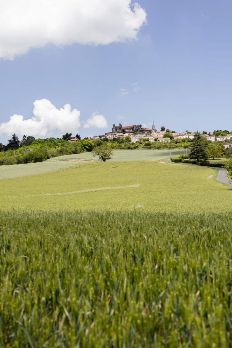 Origines® - Hotel Restaurant - Michelin - Auvergne Issoire - Vue panoramique